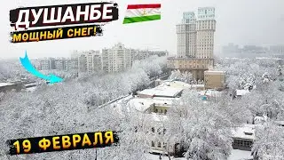 Срочно! Сегодня в городе ДУШАНБЕ 2024 выпал мощный снег