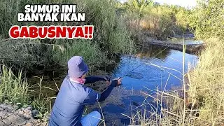 WAW!! SUMUR INI TERNYATA SARANG IKAN GABUS KELAPARAN