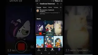 Мы тебя не забудем симбочка младший😭😭😭😭😭😭😥😓😢 #симба #пимпочка