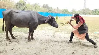 Yahi Log Desh ka nam roshan krega