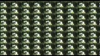 Сеанс перефокусировок при катаракте 81 Орис 2010