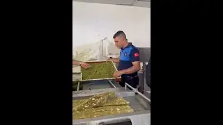 Mide bulandıran şartlarda gıda üreten 3 işletme mühürlendi 3 eylül 2024 8gunhaber