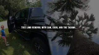 Tree Limb Removal with Sam, Eden, And the Toyota Tacoma.