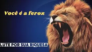 Você é um Sucesso