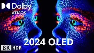 NEXT-LEVEL Oled Demo 2024: 8K Ultra HD (240FPS) SCREEN CRUSHER, Dolby Atmos/vision!