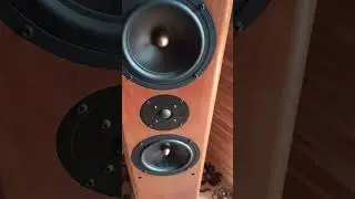 ASW Cantius V