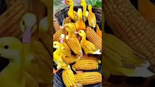 Fruits to animation video | Image to cartoon video | cartoon video kaise Banaye | #trending