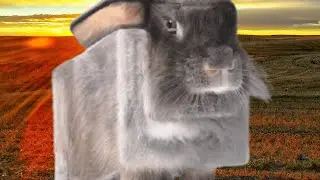1 Bit 2 Bit 4 Bit 8 Bit 16 BIT 32 Bit 128 Bit 256 Bit 512 Bit 1024 Bit 2048 Bit RABBIT BITS VOL #1