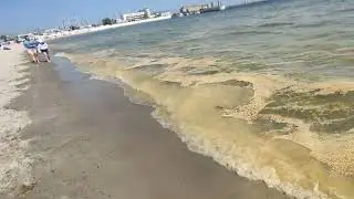Sinice, Gdynia plaża