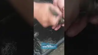 Восстанавливаем нормальную работу кик-стартера на скутере.