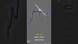 Solana Price Prediction 2023 | Expert Analysis and Forecast
