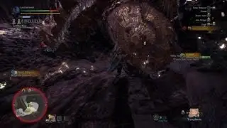 Capture quest