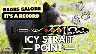 ICY STRAIT POINT - Alaska (Part 2) A VERY SUCCESSFUL BEAR SEARCH