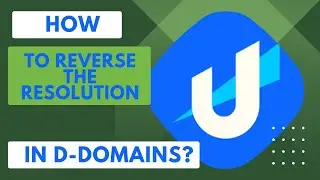 HOW TO REVERSE RESOLUTION IN D-DOMAINS?