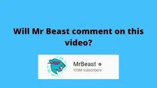 Mr Beast comented on this video!