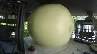 Hydroponic Giant Pumpkin 20 day time lapse (226kg/375lb)