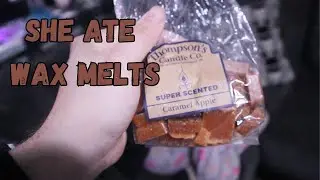 SHE ATE WAX MELTS!