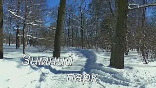 Зимний парк