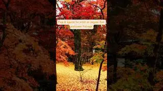Top 6 spots for #autumn #foliage in #japan #bucketlist #fall #traveltips #日本