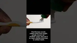 Roman Empire used urine as a cleaning agent #shorts #funfacts #shortvideo