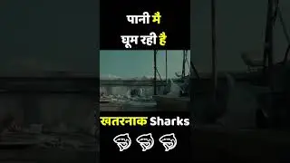 इन sharks खूंखार से कोई नहीं बच सकता #subscribe #shorts #short #shortsvideo #shortsfeed #movies