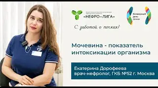 Мочевина ‒ показатель интоксикации организма