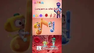 Following the Music: How do our ears work? | Kids Cartoon
