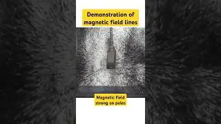 Demonstration of magnetic field lines | #magneticfield #magnet #demonstration #electrical