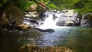 Hiking Panamá, Cascada La Gloria, Chame. Cacao, Capira. Enlodados.com