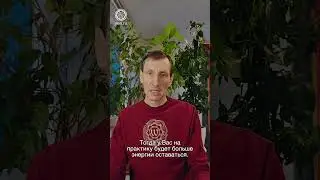 Баланс между накоплением и тратой энергии