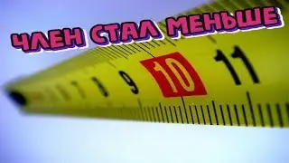 Из-за чего уменьшается половой член?