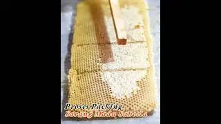 PROSES PANEN DAN PENGEMASAN SARANG MADU SAHEELA