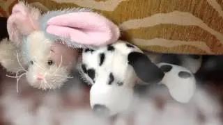 "Run" Webkinz music video