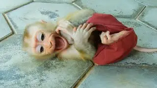 Supper Hungry!!! Baby Feeling So Sad, Request Milk From Mum