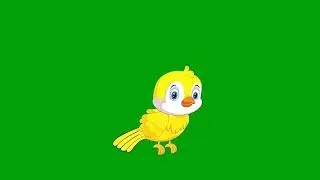 A bird talking green screen no copyright background