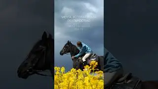 Нашла себя, его, людей 💔 #конныйблог #horse #конныйтуризм #лошади #конныепрогулки #equestrian
