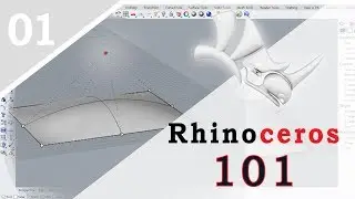Rhino 101 | Getting Started