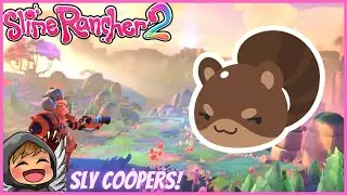 Ringtail Slime Is The Best Slime! Slime Rancher 2