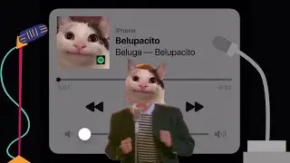Beluga Creates Belu-roll (Belupacito)