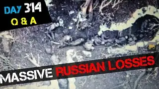 Live Q&A: Day 314 | russia 404