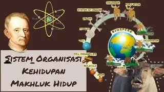 Sistem Organisasi Kehidupan Makhluk Hidup | Materi IPA SMP Kelas 7