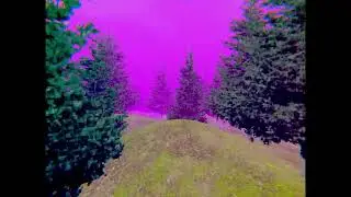 Procedural Generated Forest Test