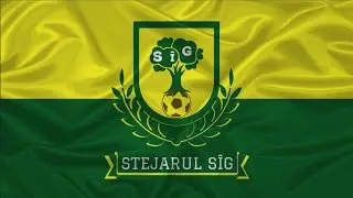 IMN STEJARUL SÎG