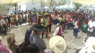 FIESTA DE SAN LORENZO TOCONAO 2014