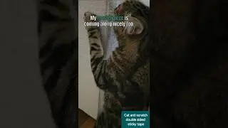 https://amzn.to/47dM3Wi#CatScratchProtection, #FurnitureProtection, #CatTraining, #PetSafety