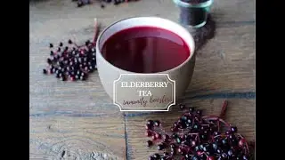 How to make elderberry tea - 4 ways