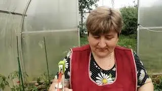 ЖИЗНЬ В ДЕРЕВНЕ//Работа на два фронта//С днём рождения меня//