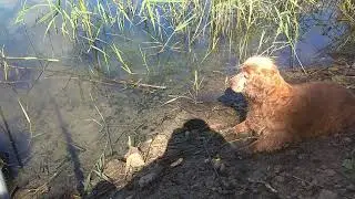 VID 20200701 095856