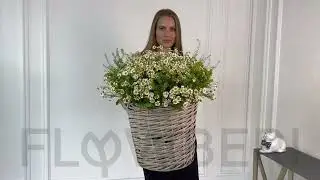 Ромашки на сайте FlowBeri №24