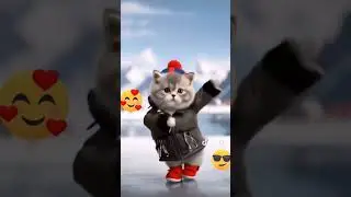 мои любимые коты❤❤❤